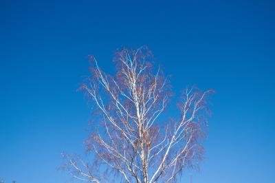 Прикрепленное изображение: img_0001.jpg